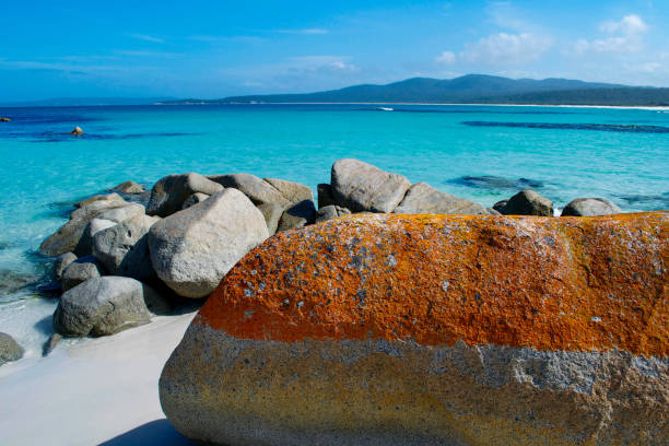 Bay of Fires Bay of Fires - Tasmania bay of fires photos stock pictures, royalty-free photos & images