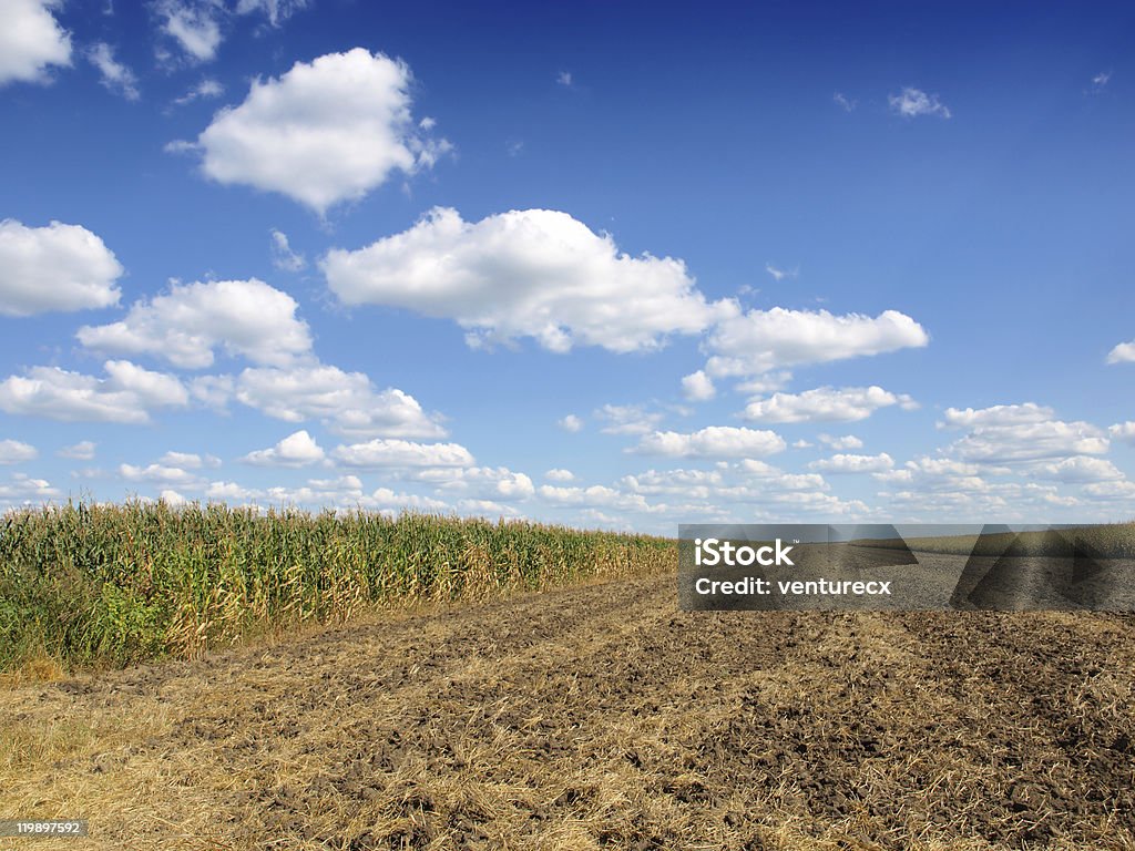 Campo lavrado - Royalty-free Agricultura Foto de stock