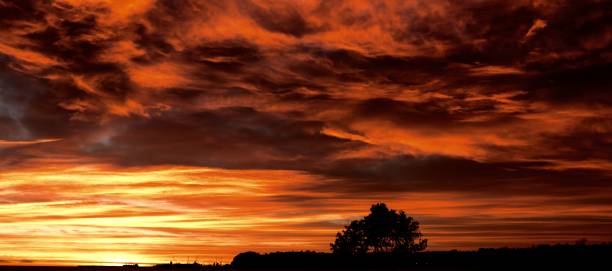 istock Sunrise in Napier 1198976628
