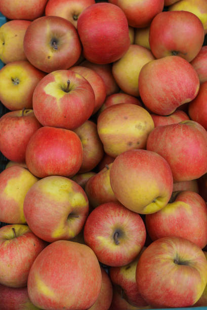 istock Red apples in a drawer. Side view. Autumn season time. 1198977833