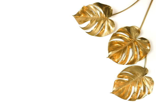 istock Gold tropical monstera leaves plant pattern isolated frame on a white background. top view. copy space. floral card.abstract. 1198981300