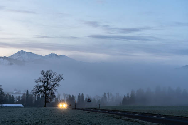 Headlight of an approaching car. Fog landscape at dawn.