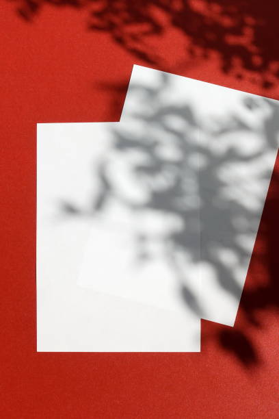istock Empty white blank mockup with soft floral shadows on dark red background. modern sunlight stationery mockup scene. Flat lay, top view. copy space 1198982861