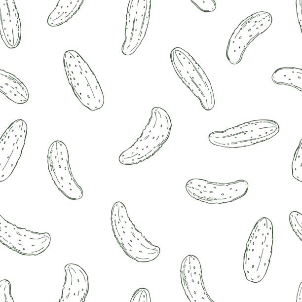 ilustrações de stock, clip art, desenhos animados e ícones de cucumbers on white background. vector   pattern - cucumber pickled