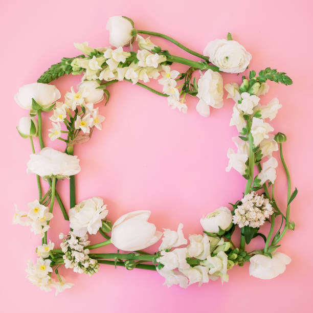 istock Floral frame with white flowers on pink background. Flat lay, top view 1198983510