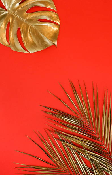 istock Gold leaves plant tropical monstera and palm pattern frame on a red background. top view.abstract. 1198987607