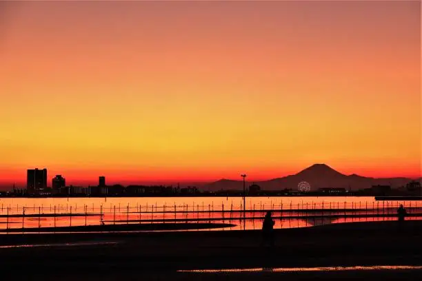 Photograph date:16:14~17:12 hours,Jan 3rd,2020.
Place: 40 shiomi-cho,Funabashi city,Chiba-ken,Japan

There is common saying in Japan;
"If you had a dream about Mt.Fuji during New Years day,it would be lucky sign !"
I was fortunate to see the real figure of Mt.Fuji at the Sanbanze park,on the New year's day,without a cloud,blessed with fine weather.

Now, lets look at Funabashi city's Website,because Sanbanze Seaside Park belongs to Funabashi city.

 The website explains as follows;
"Sanbanze is located inner most part Tokyo bay and has about 1800 ha of flats and Shallows.
So,Sanbanze is an ideal place to feed and rest migratory birds(mainly from Siberia region)and to attract many peoples for bird watching.
On a sunny day,Mt Fuji is clearly visible and has been selected as 「Hundred Views of Fujimi in Kanto region」"
If I could add one more thing to the points above mentioned,"You cannot imagine how much indescribable about the red sky as well as sea surface after the sunset are !!

Please look at the pictures that I have  selected from among my many files.