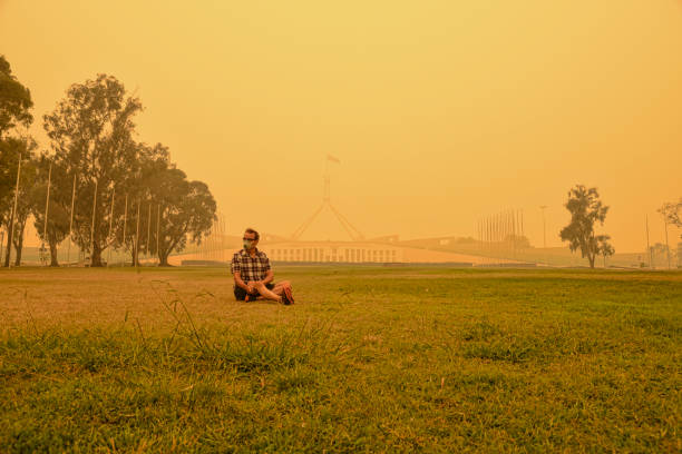 un hombre, con una máscara protectora, es la única persona sentada en el césped frente a la casa del parlamento australiano. apenas es visible detrás de un esmog denso. en canberra, el nivel de contaminación del aire es el más alto del mundo en ciert - city urban scene canberra parliament house australia fotografías e imágenes de stock