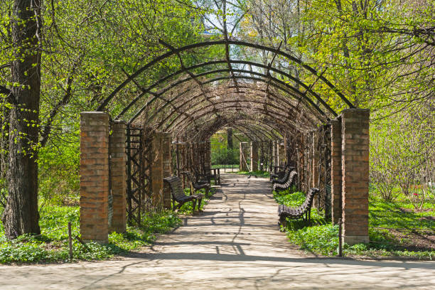 istock Pergola in the park. 1198993322