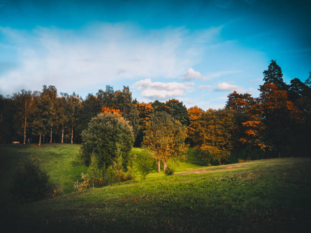 istock Autumn trees on a green hill. natural background. 1198997731