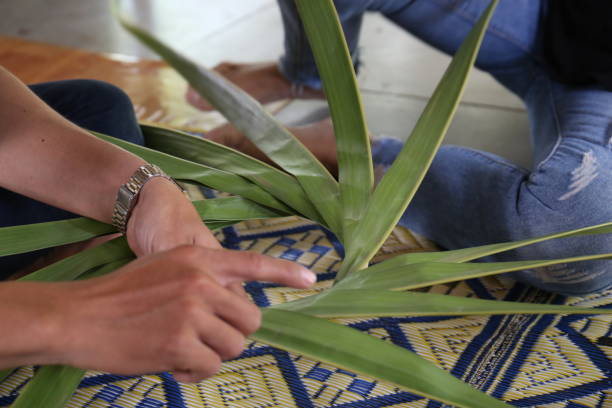 istock DIY, How to make Coconut leaf basket? 1199005184