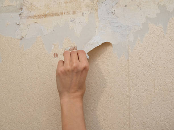 istock Hand removing old wallpaper during repair. 1199005690