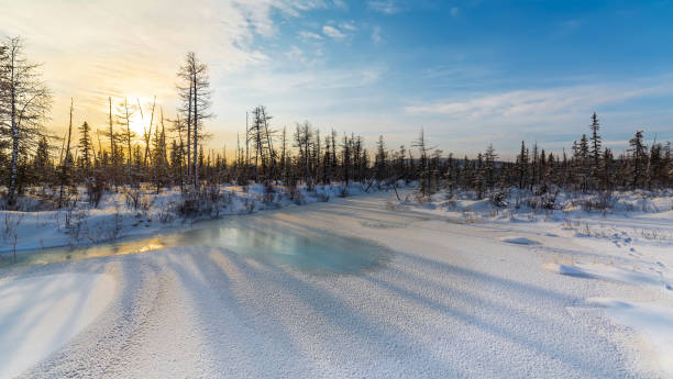 зима на юге якутии, россия. - winter sunset stream snow стоковые фото и изображения