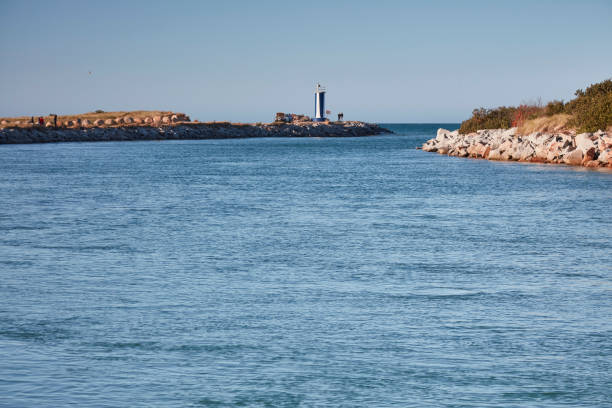 istock Bridport Estuary, Tasmania 1199006694