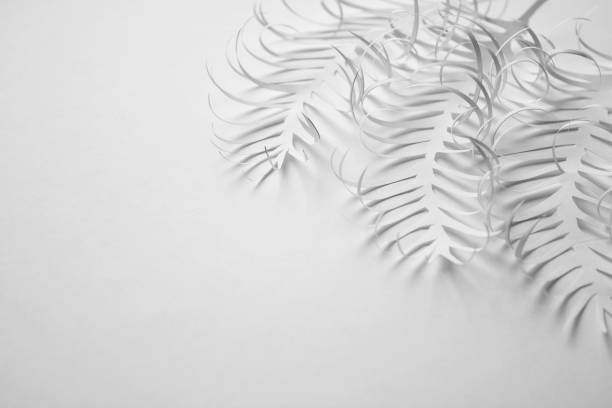 istock Creative white paper background with paper leaves 1199006889