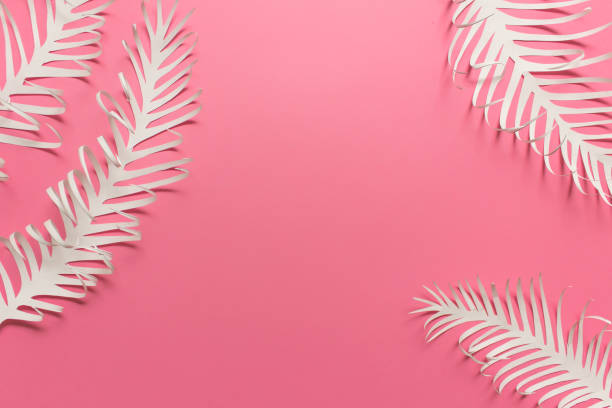 istock Presentation mockup background with white paper decor on pink background 1199008184