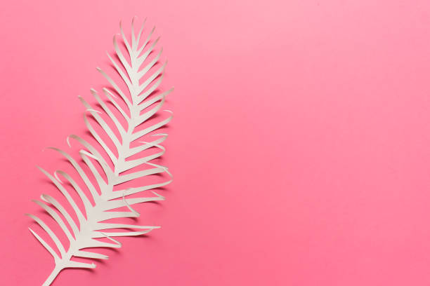 istock White paper feather on pink background 1199008236