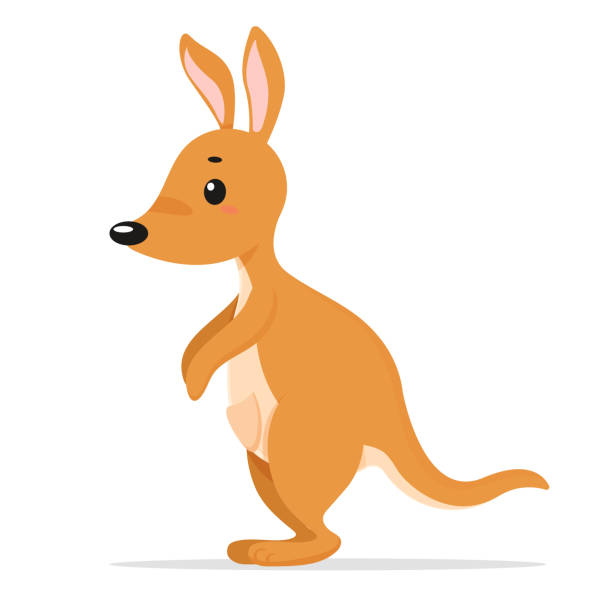 Kangaroo Cartoon Vector Kangaroos Are The National Animal Of Australia  Isolate On White Background Stock Illustration - Download Image Now - iStock