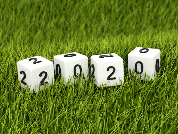 istock Cubes with 2020 New Year sign on grass 1199008602