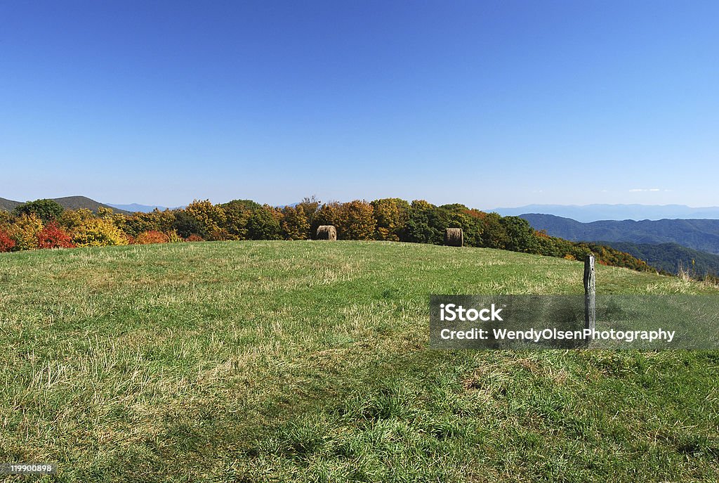 Appalachian Trail (North Carolina) - Lizenzfrei Appalachen-Region Stock-Foto