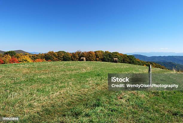 Appalachian Trail Stockfoto und mehr Bilder von Appalachen-Region - Appalachen-Region, Appalachen-Wanderweg, Blue Ridge Parkway - Gebirge Appalachian Mountains