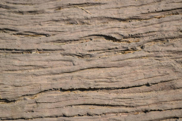 istock Surface of wood 1199009887