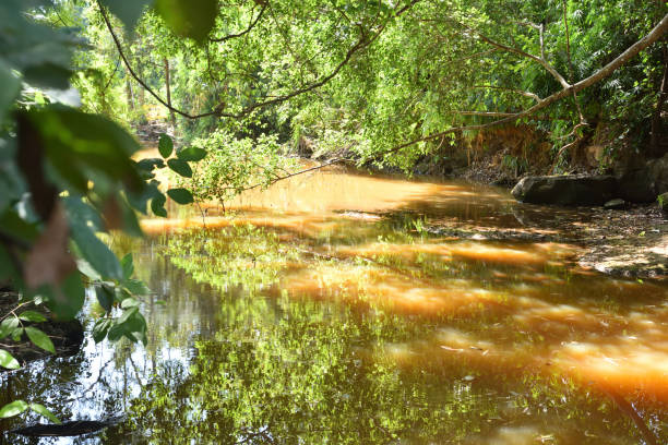 istock Little stream,Water in a forest and stones 1199010042