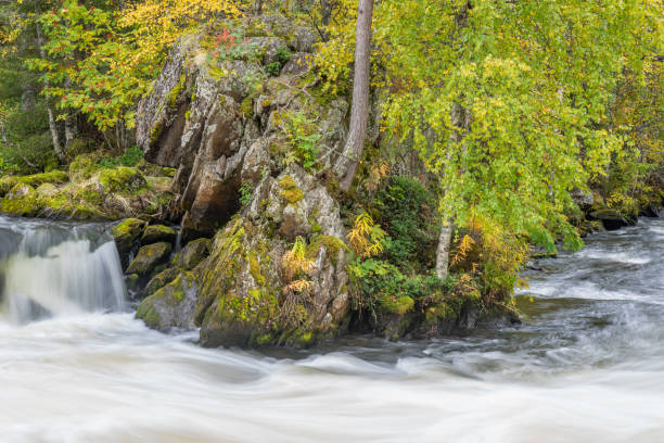 istock Cliff, stone wall, forest, waterfall and wild river panoramic view in autumn. Fall colors - ruska time in Myllykoski. Karhunkierros Trail, Oulanka National Park in north Finland. Lapland, Europe 1199013806