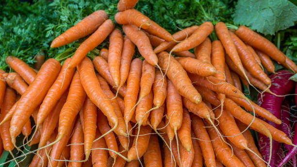 istock A pile of carrots 1199015967