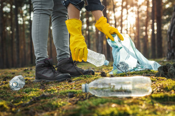 istock Volunteer cleaning forest from plastic pollution 1199018605