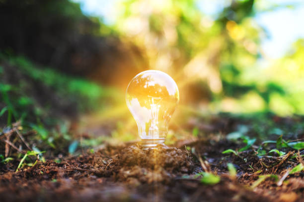 a light bulb glowing on pile of soil Closeup image of a light bulb glowing on pile of soil think green stock pictures, royalty-free photos & images