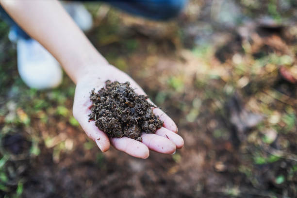 istock a woman holding and showing arable soil in hand 1199019041