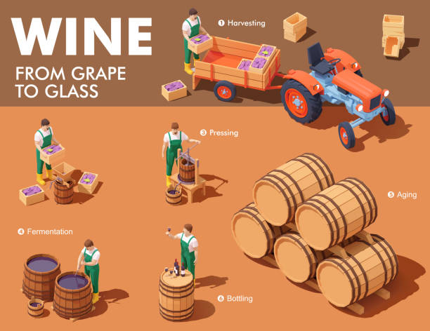 illustrazioni stock, clip art, cartoni animati e icone di tendenza di processo di vinificazione isometrica vettoriale - bottling plant winery wine industry