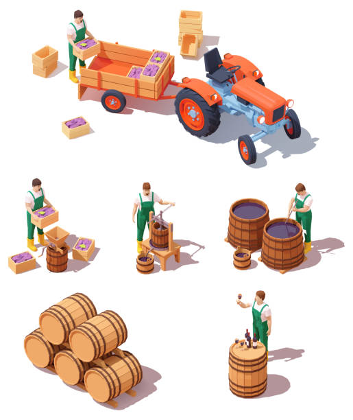 벡터 아이소메트릭 와인 제조 장비 - bottling plant winery wine industry stock illustrations