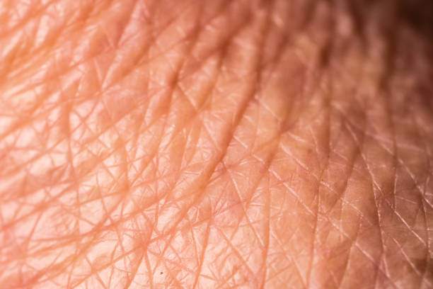 istock Close up skin with wrinkles 1199021594