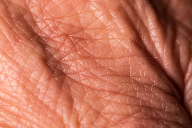 istock Close up skin with wrinkles 1199022693