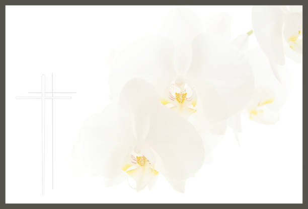 funeral flower Condolence card. frame with white Moon orchids and a cross. Close up of white orchids on light background. Empty place for a text. Appreciation, feelings compliment, mourning frame. Condolences card concept funeral photos stock pictures, royalty-free photos & images