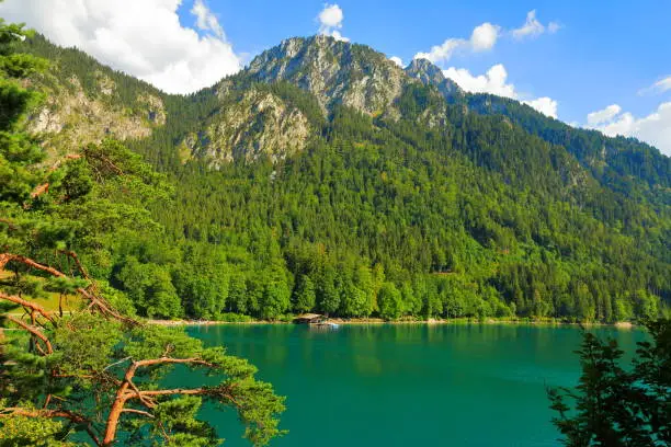 Photo of Aerial view of Alpsee Lake and Alps (Alpes, Alpen, Alpi, Alpe) Mountain, Ostallgäu, Swabia (Schwaben), Bavaria (Bayern), Germany (Deutschland)