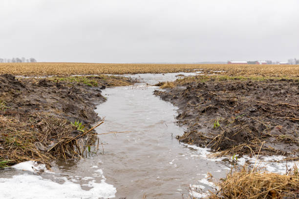 istock January storms with heavy rain caused flash flooding in Illinois farm fields, overflowing ditches and soil erosion from flowing water runoff 1199024084
