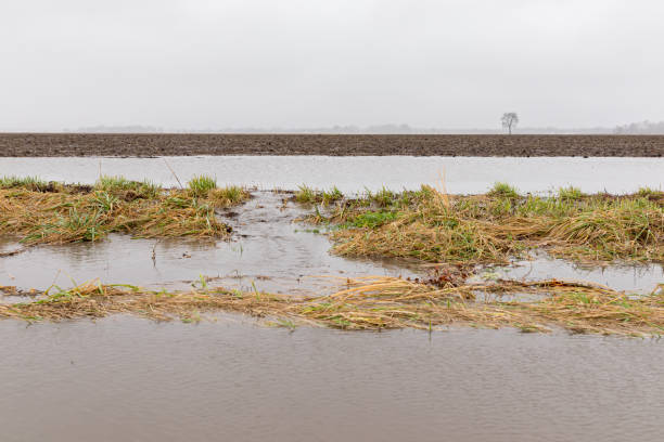 istock January storms with heavy rain caused flash flooding in Illinois farm fields, overflowing ditches and soil erosion from flowing water runoff 1199024175