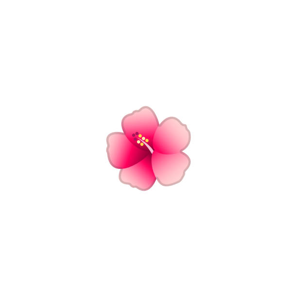 ilustraciones, imágenes clip art, dibujos animados e iconos de stock de icono vectorial realista aislado de hibiscus. hibiscus flor ilustración emoji, emoticon, icono - abstract flower tropical climate single flower
