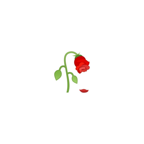 wilted blume isoliert realistische vektor-symbol. rose illustration emoji, emoticon, symbol - abgestorbene pflanze stock-grafiken, -clipart, -cartoons und -symbole