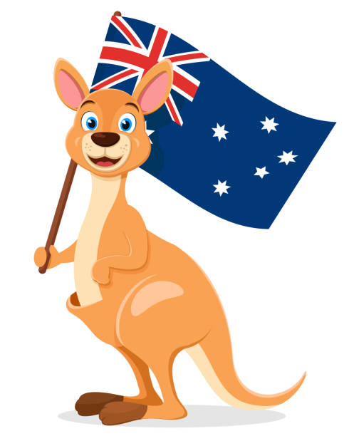 känguru hält die flagge von australien auf einem weißen hintergrund. character, australien tag - marsupial animal vertical kangaroo stock-grafiken, -clipart, -cartoons und -symbole
