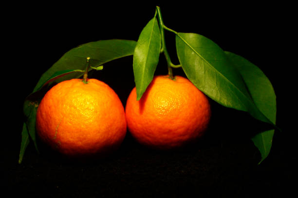 two tangerines with green leaves up isolated on black