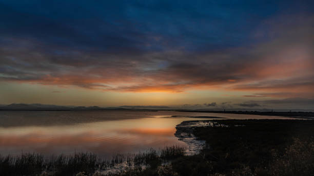 istock Sunrise over the wetlands 1199028758