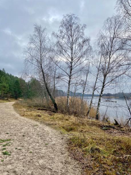 istock Gauja river Latvia drain into Baltic Sea 1199029021