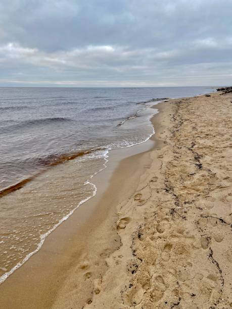 istock Gauja river Latvia drain into Baltic Sea 1199029603