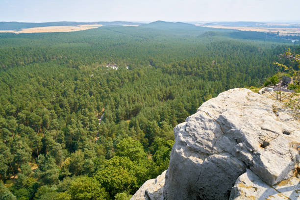 vista desde el regenstein cerca de blankenburg - regenstein fotografías e imágenes de stock