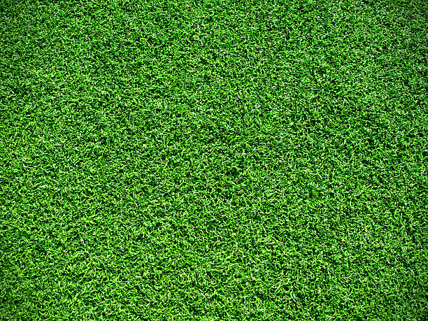 istock A close up view of synthetic grass 119902977