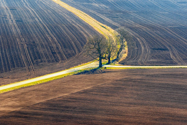 Agriculture landscape with a road crossing